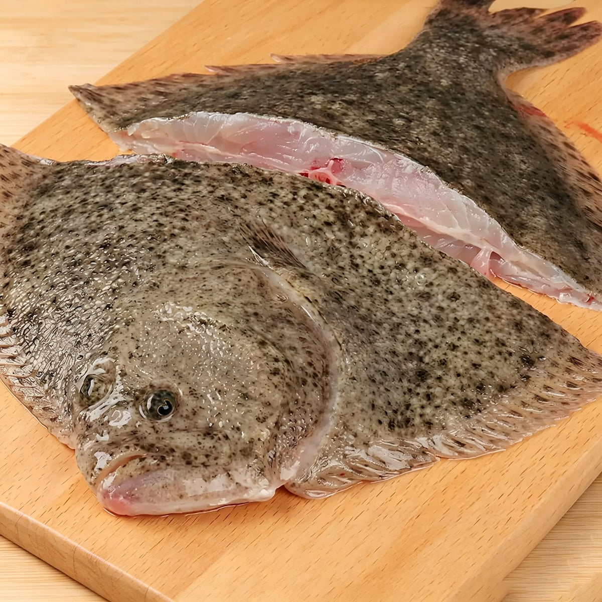 Frozen Turbot